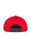 Hunter x Hunter - XX - Snapback Cap