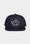 Naruto Shippuden - Tonal Akatsuki Cloud Mens Snapback Cap